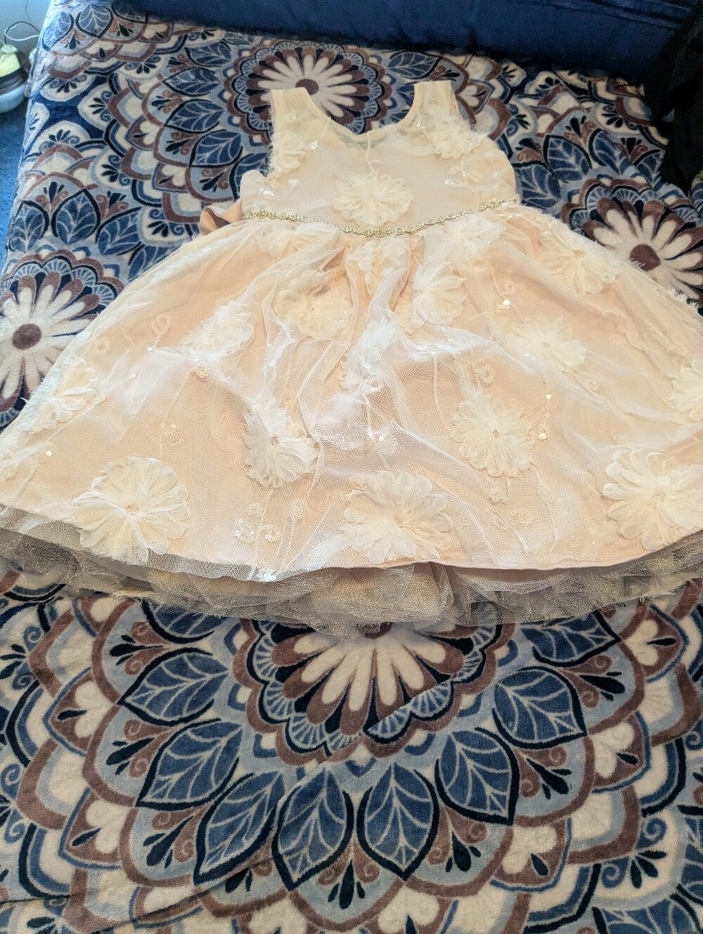 Beautiful Blush Girls Festive Dress